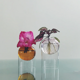 Standing Flower Bubble, Tall
